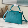 Louis Vuitton Medium-Sized Capucines Ostrich Leather Handbag – Blue