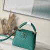 Louis Vuitton Mini Capucines Ostrich Leather Hand Bag – Green