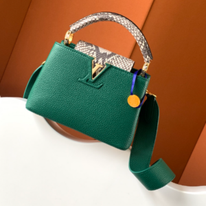 Louis Vuitton Ca Bucines BB Small handbag – Green