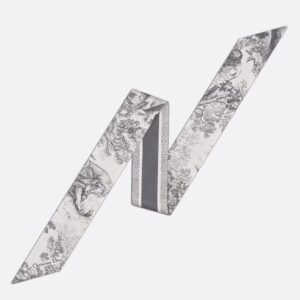 Dior Toile de Jouy Sauvage Mitzah Scarf in Grey Silk Twill