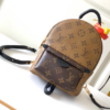 Louis Vuitton Palm Springs Mini Bag