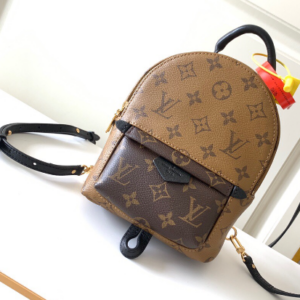 Louis Vuitton Palm Springs Mini Bag